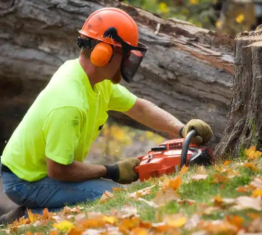 tree services Sawyerwood